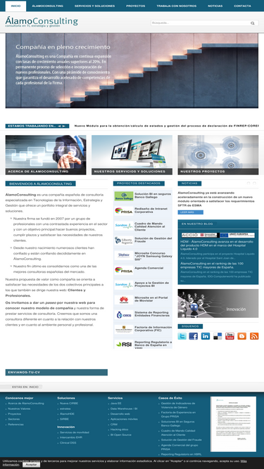 alamoconsulting.com