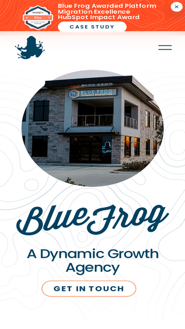 bluefrogdm.com