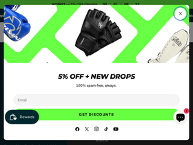 RING KONG homepage screenshot