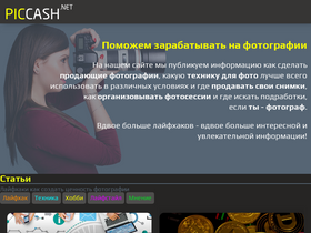 'piccash.net' screenshot
