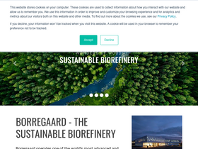 borregaard.com