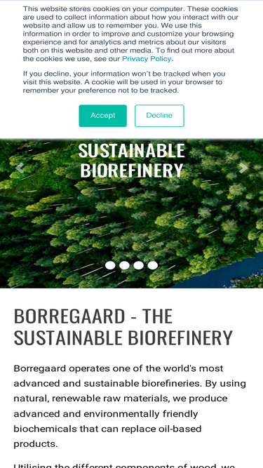 borregaard.com