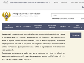 'roskazna.gov.ru' screenshot