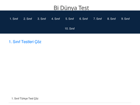 'bidunyatest.com' screenshot