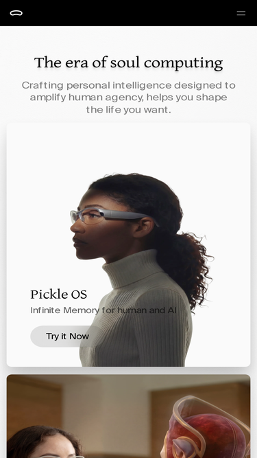 pickle.com