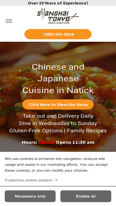 shanghaitokyonatick.com