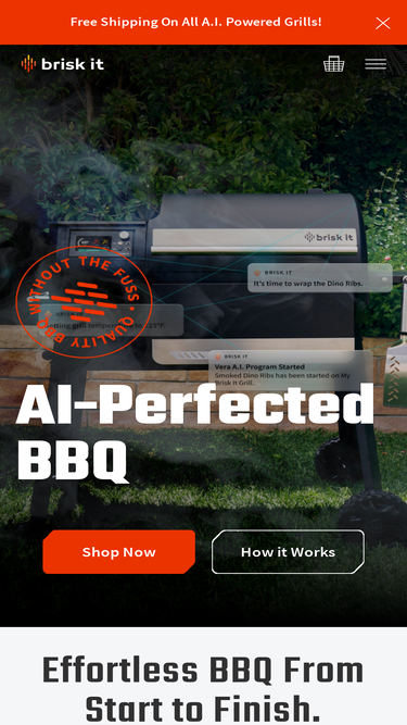 briskitgrills.com