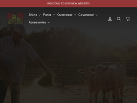 'bendavis.com' screenshot