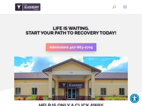 'theblackberrycenter.com' screenshot
