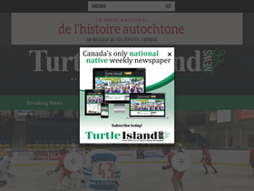 theturtleislandnews.com