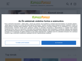'kamaszpanasz.hu' screenshot