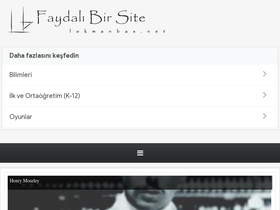 lokmanbas.net