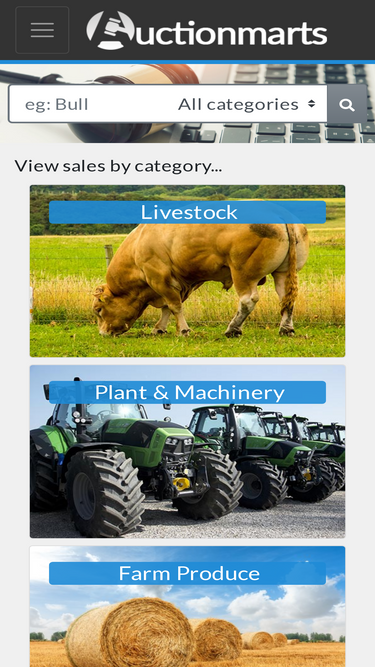 auctionmarts.com