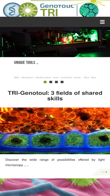 trigenotoul.com