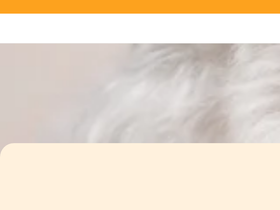 Dr. Pfoten homepage screenshot