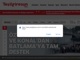 'yesilgiresun.com.tr' screenshot