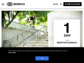 'theberrics.com' screenshot