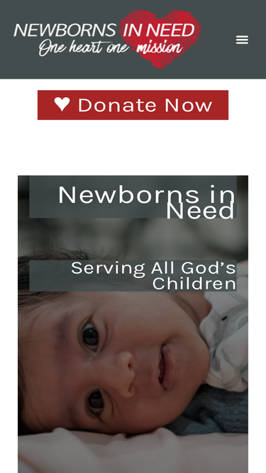 newbornsinneed.org