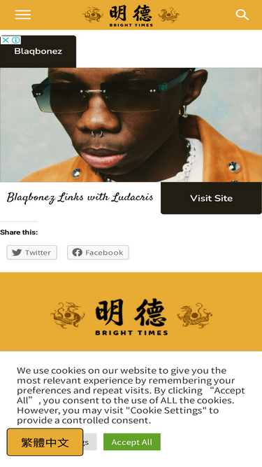mingdemedia.org