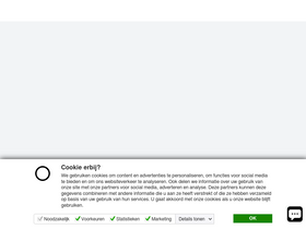 'wensink.nl' screenshot