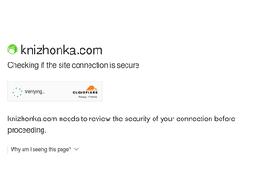 'knizhonka.com' screenshot