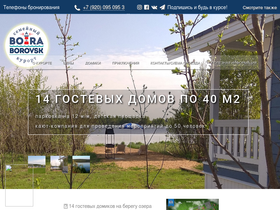 'bora-borovsk.ru' screenshot