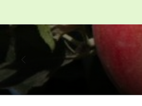 'dachnoedelo.ru' screenshot