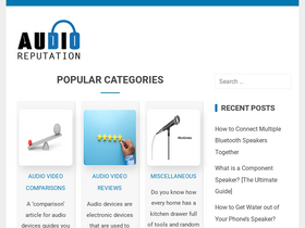 'audioreputation.com' screenshot
