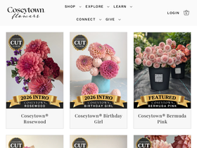 coseytownflowers.org homepage screenshot