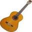 aarongreenguitars.com
