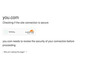 'you.com' screenshot