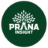 pranainsight.in