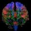 brainandspinalinjury.org