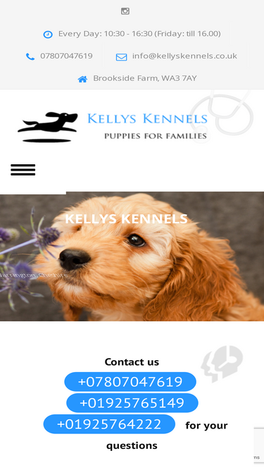 kellyskennels.co.uk