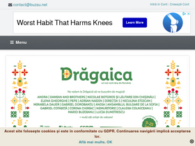 'buzau.net' screenshot