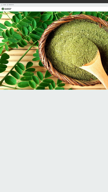 intotherainforest.com