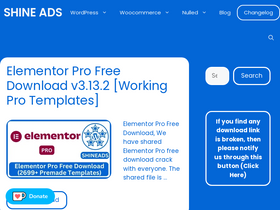 'shineads.in' screenshot