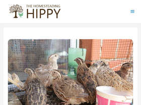'thehomesteadinghippy.com' screenshot