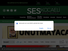 'seskocaeli.com' screenshot