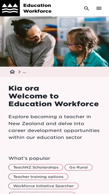 workforce.education.govt.nz Traffic Analytics, Ranking & Audience ...