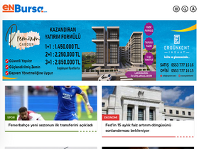 'enbursa.com' screenshot