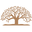 wealthcg.com
