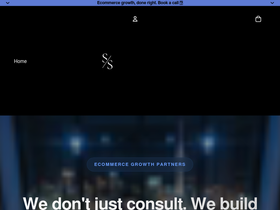 snsstrategies.com homepage screenshot