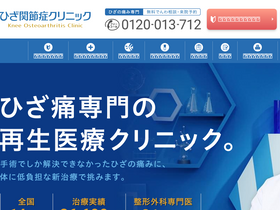 'knee-joint.net' screenshot