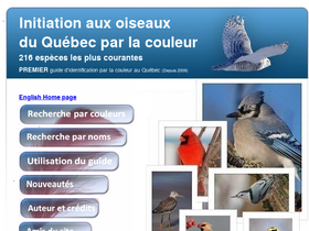 'oiseauxparlacouleur.com' screenshot