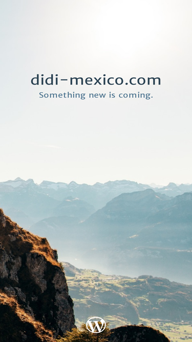 didi-mexico.com