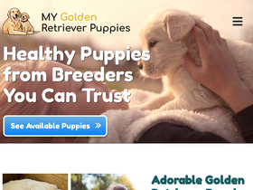 'mygoldenretrieverpuppies.com' screenshot