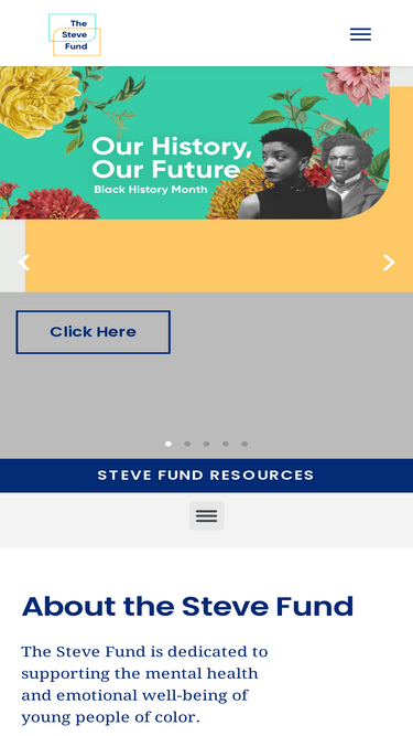 stevefund.org