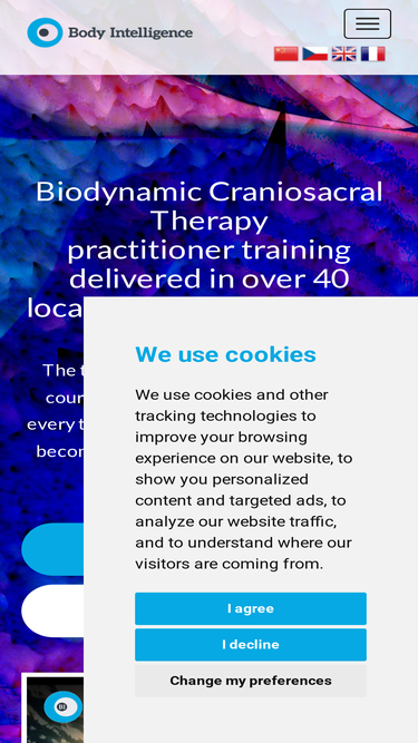 bodyintelligence.com