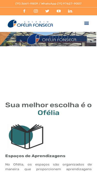ofelia.com.br